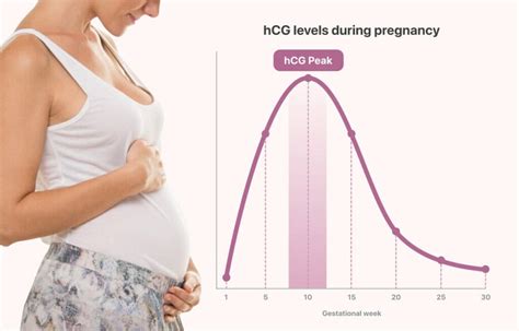 signs of hCG levels