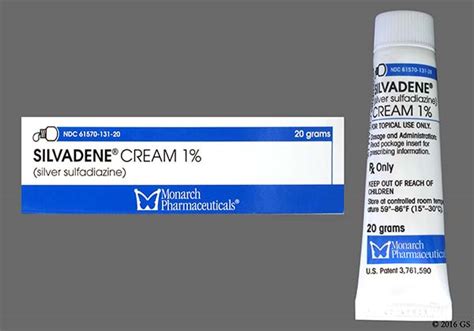 Silvadene Cream Future Directions