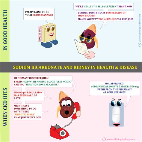 Sodium Bicarbonate Kidney Damage