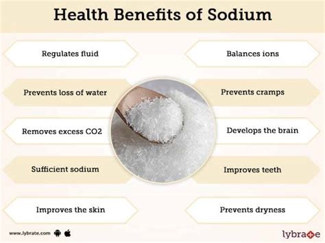 Sodium importance in the body