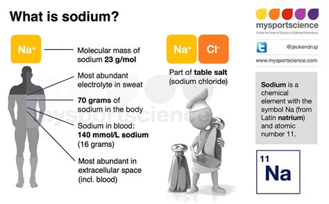 sodium importance