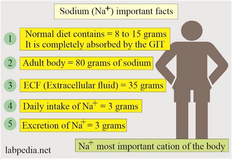 Sodium Level Basics