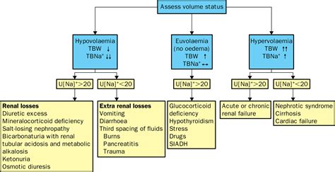 sodium next steps