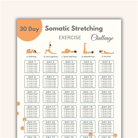 somatic challenges