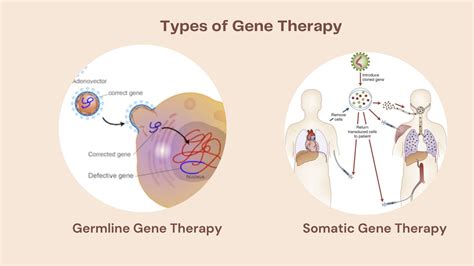 somatic conclusion