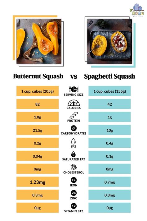 spaghetti squash nutrition comparison