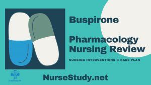 Special Considerations Buspirone