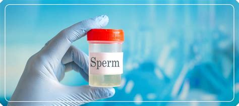 Sperm Test Preparation