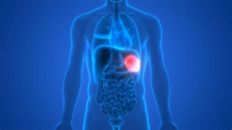 spleen health