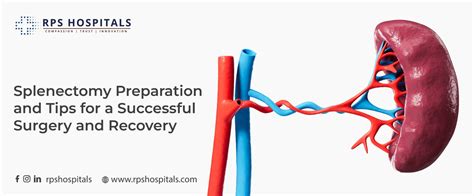 spleen surgery preparation