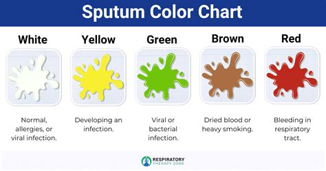 Diagnosis and Treatment of Sputum