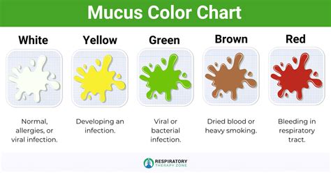 Sputum and phlegm conclusion