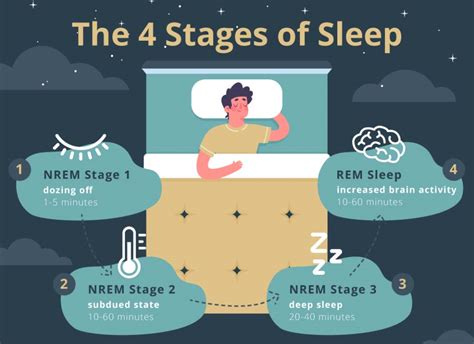 Stage 2 Non-REM Sleep