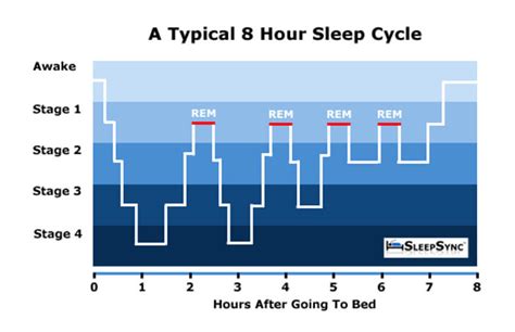 Stage 3 Non-REM Sleep