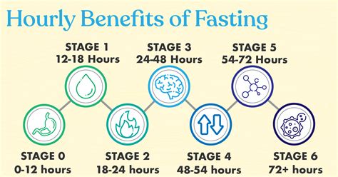 Stages of 12 Hour Fasting
