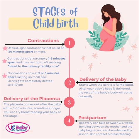 Stages Of Childbirth