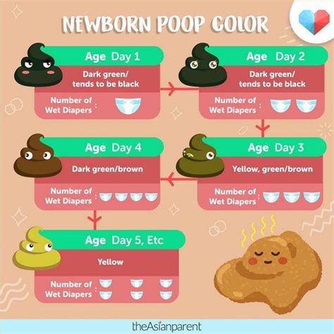 Stages of Newborn Poop Development