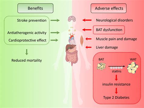 Benefits of Statins