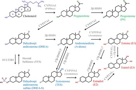 Steroids and performance-enhancing drugs
