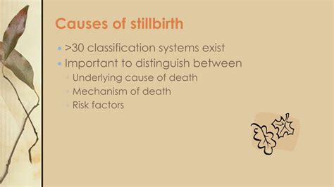 stillbirth conclusion