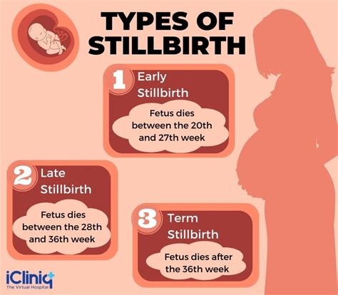 signs of stillbirth