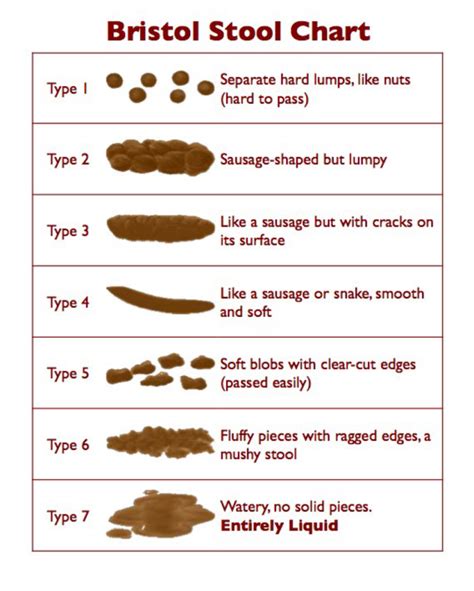 stool analysis