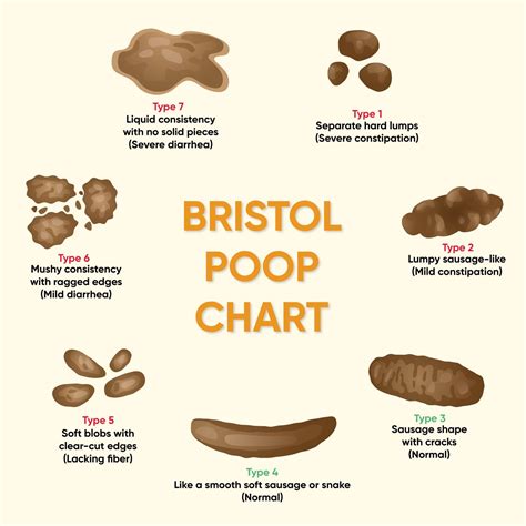 Understanding Stool Types