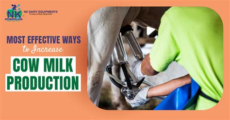 strategies to enhance milk production