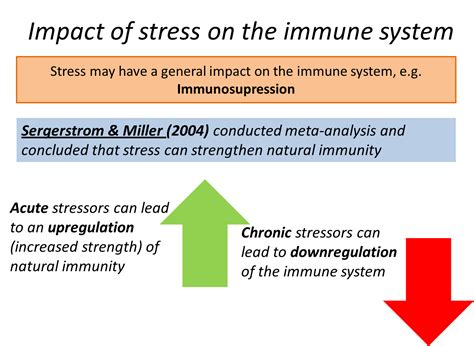 stress and immune system