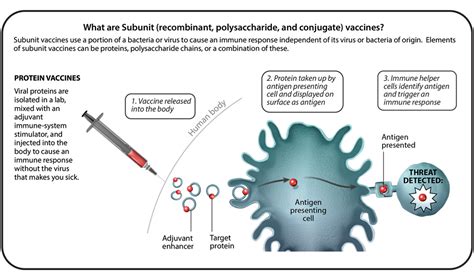 subunit vaccine
