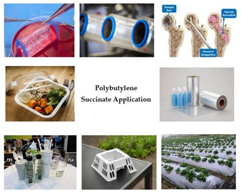 Practical applications of succinate