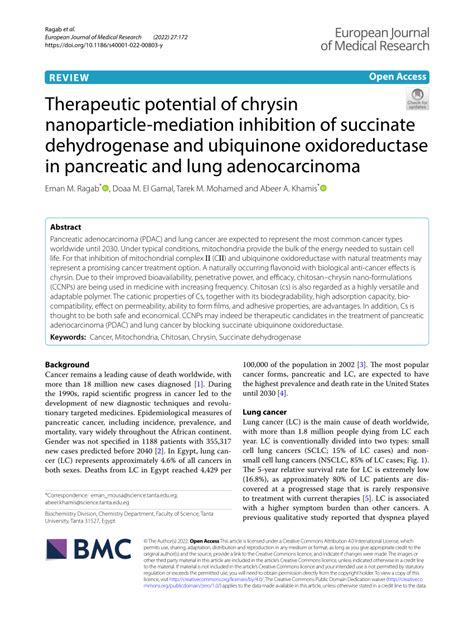 Therapeutic potential of succinate