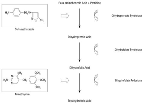 sulfameth mechanism of action