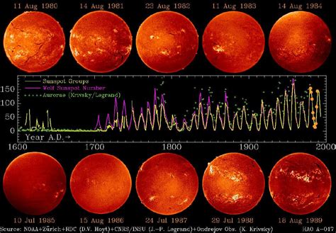 The life cycle of sunspots