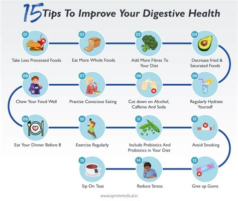 Supporting Digestive Health with Lactobacillus Acidophilus