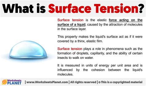 Surface tension and frothiness