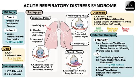 Symptom 1: Respiratory Distress