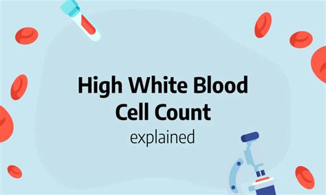 symptoms of high white blood count