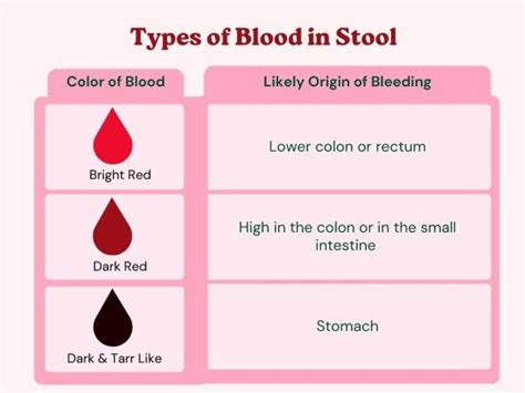 Symptoms of Occult Blood in Stool