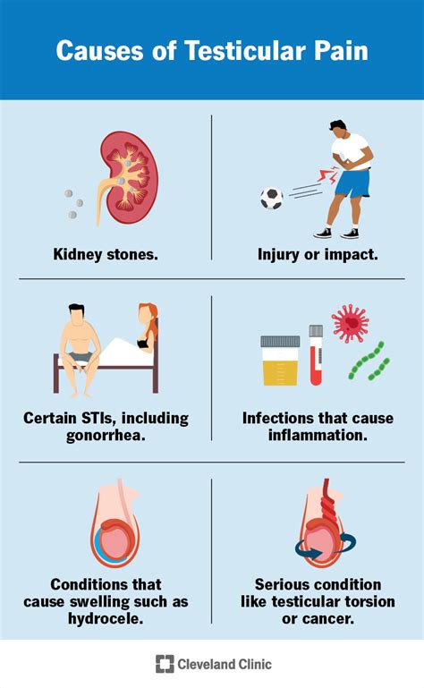 Testicular Injury and Testosterone
