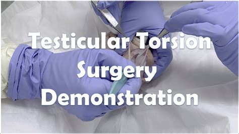 Testicular Removal Future