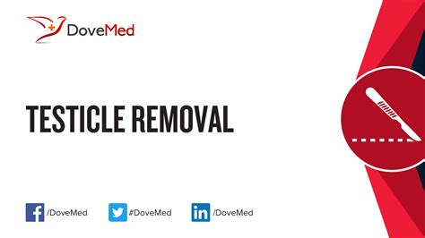 Testicular Removal Recovery