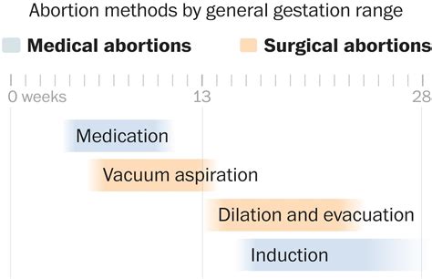 The Abortion Process
