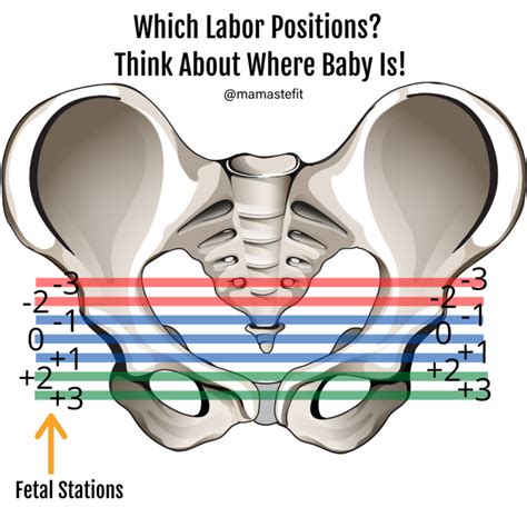 The Different Stations of Labour