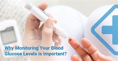 The Importance of Monitoring Sugar Levels