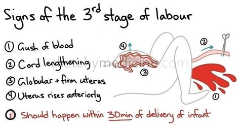 third stage of labor