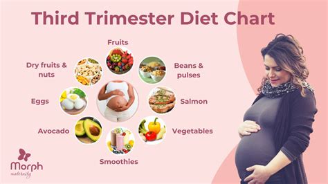 Third Trimester Nutrition