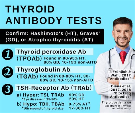 Thyroid Antibodies