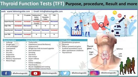 Thyroid Gland Test Preparation