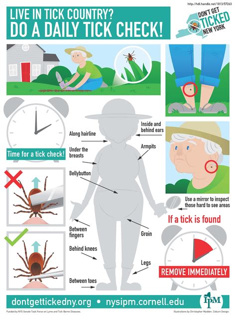 Tick Awareness